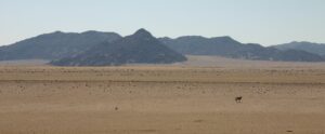 Namibia Sperrgebiet National Park Garub