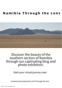 Namibia Through the Lens Flipbook cover